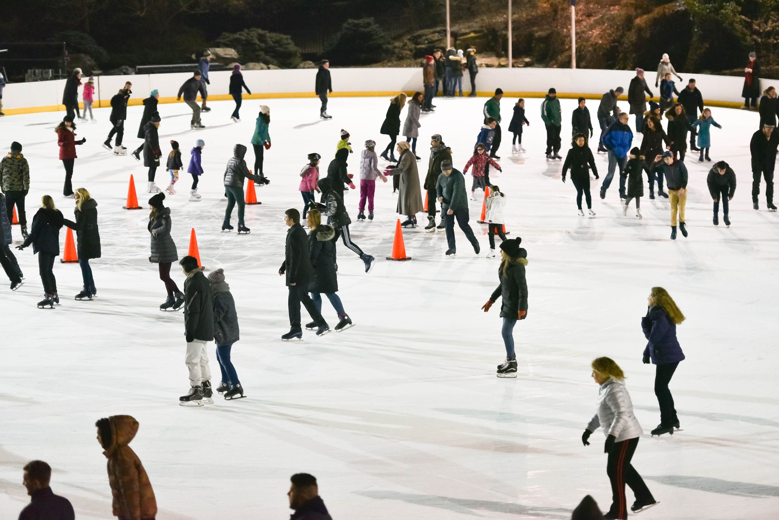 Groups of people ice skating