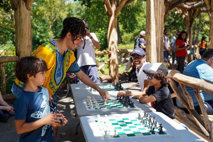 Park-goers play chess under the shade of trees