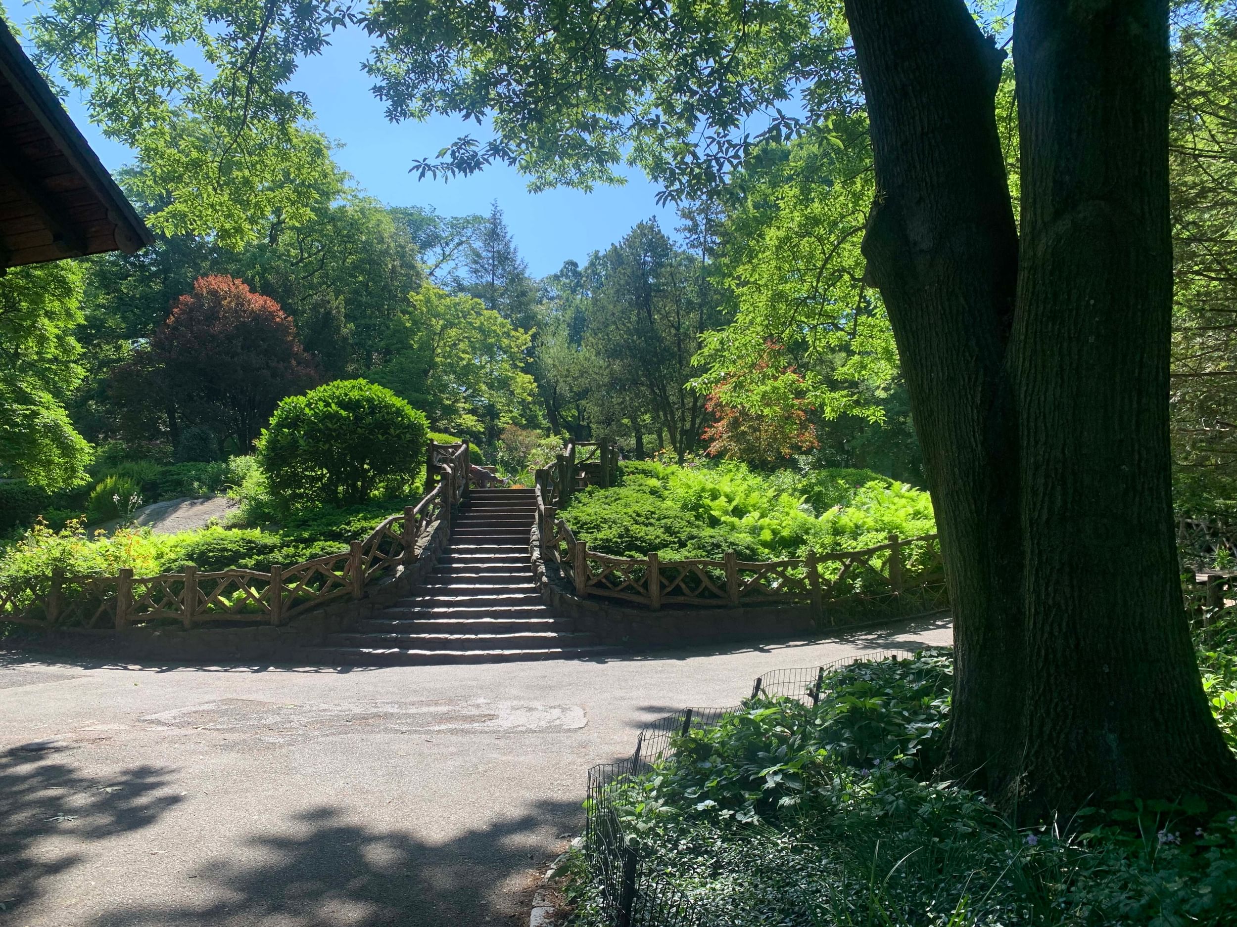 Stone steps surrounded by spring flowers and greenery in the Shakespeare Garden at Central Park, New York City, on a sunny day