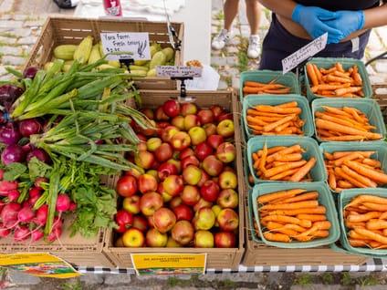 Central Park Farm Stand