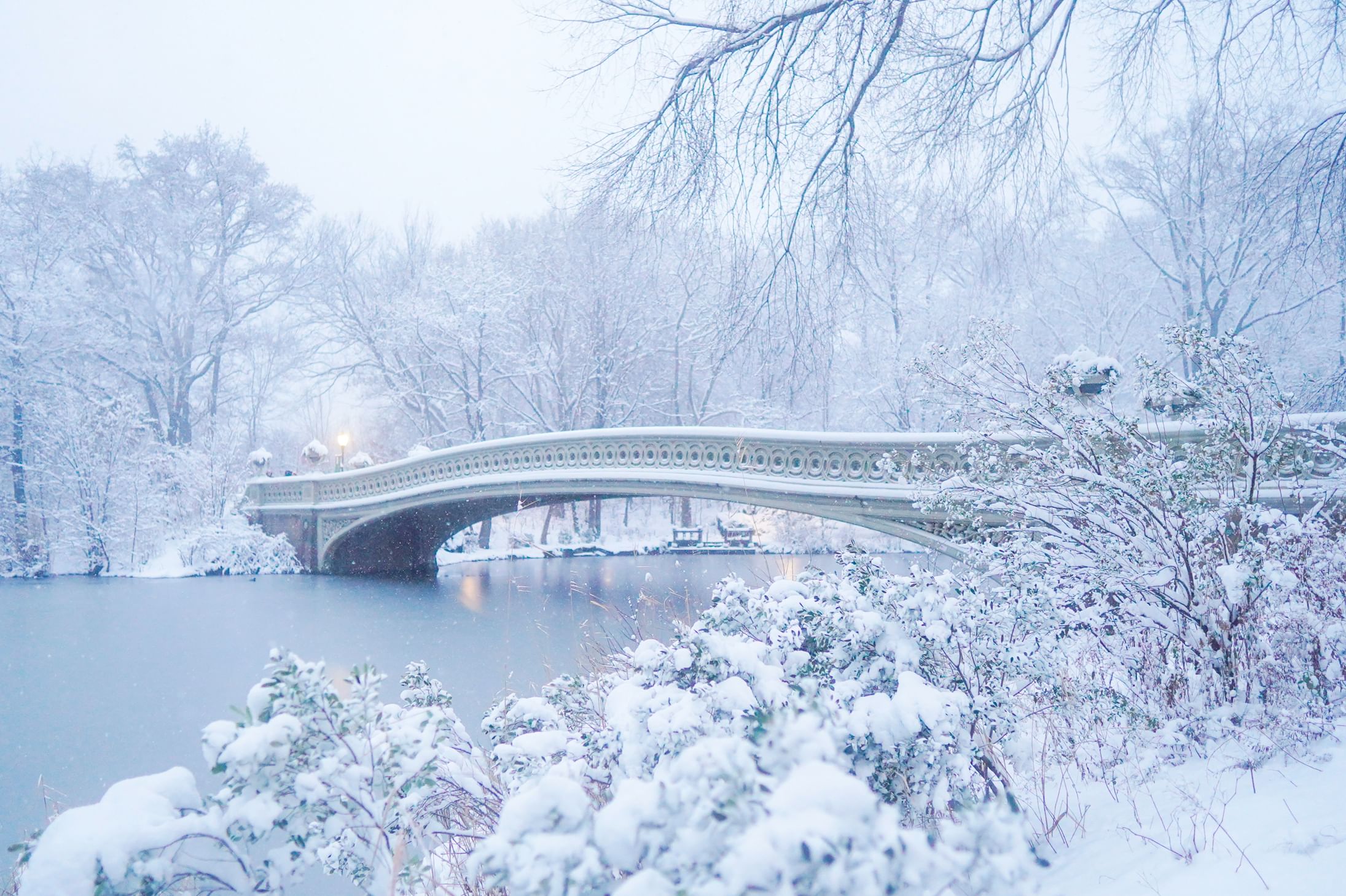 Bow Bridge in the snow, Central Park, NYC