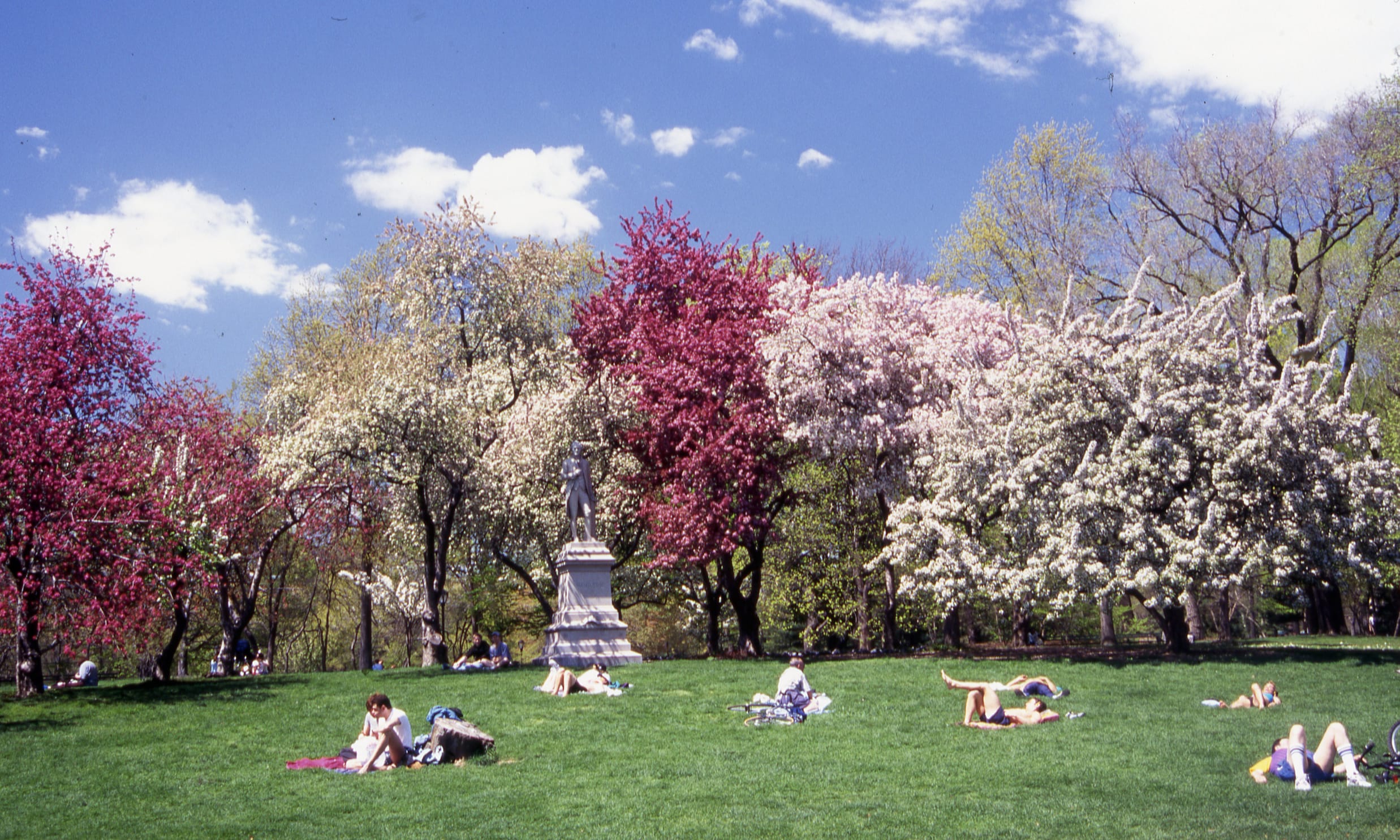 Central Park