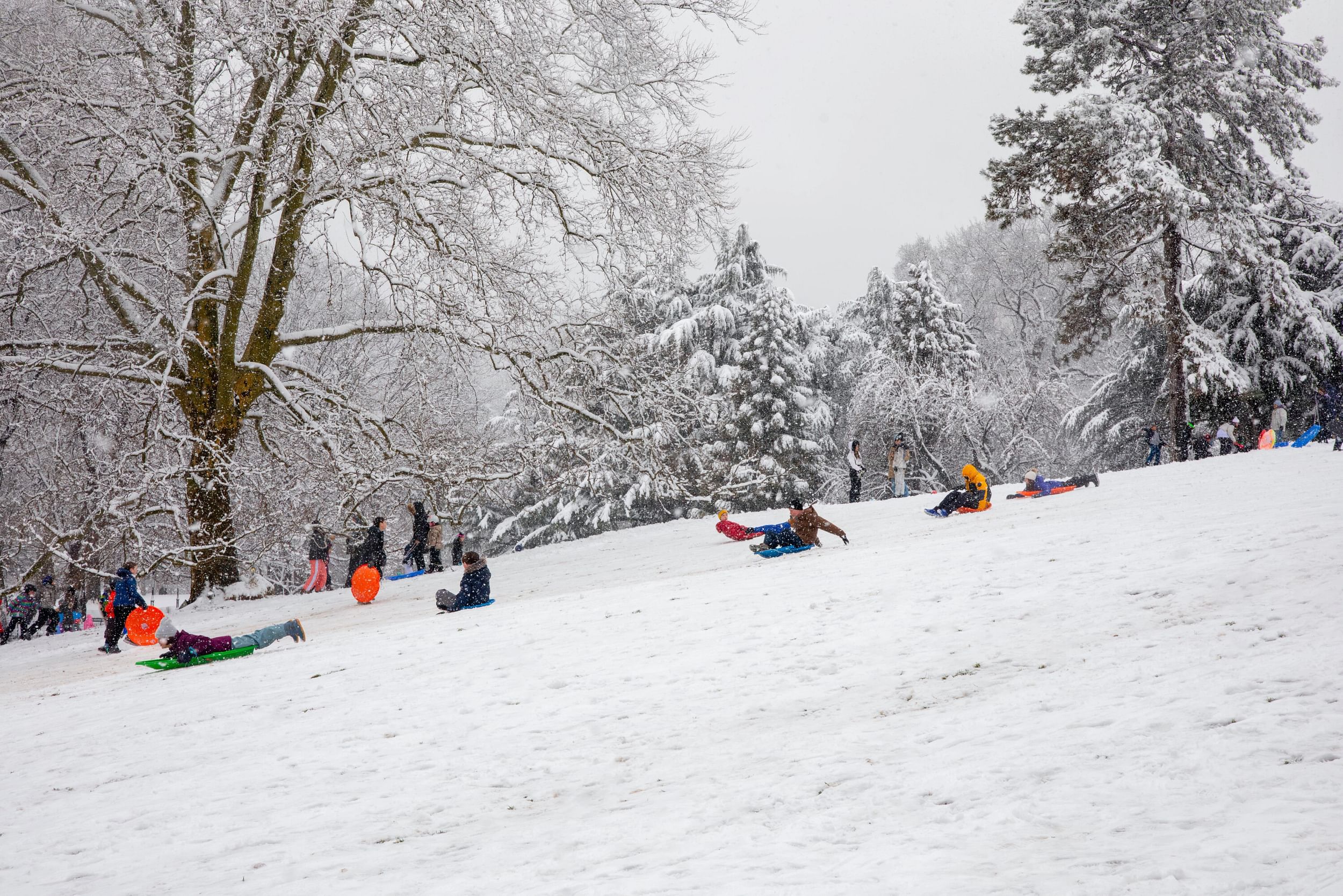 Park visitors sledding on Cedar Hill, Central Park, New York City