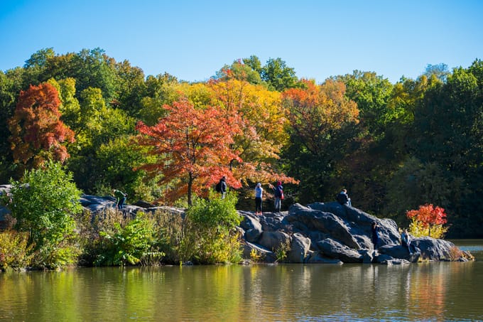 A fall view of Hernshead, overlooking the Lake, with Park visitors enjoying the bright foliage.