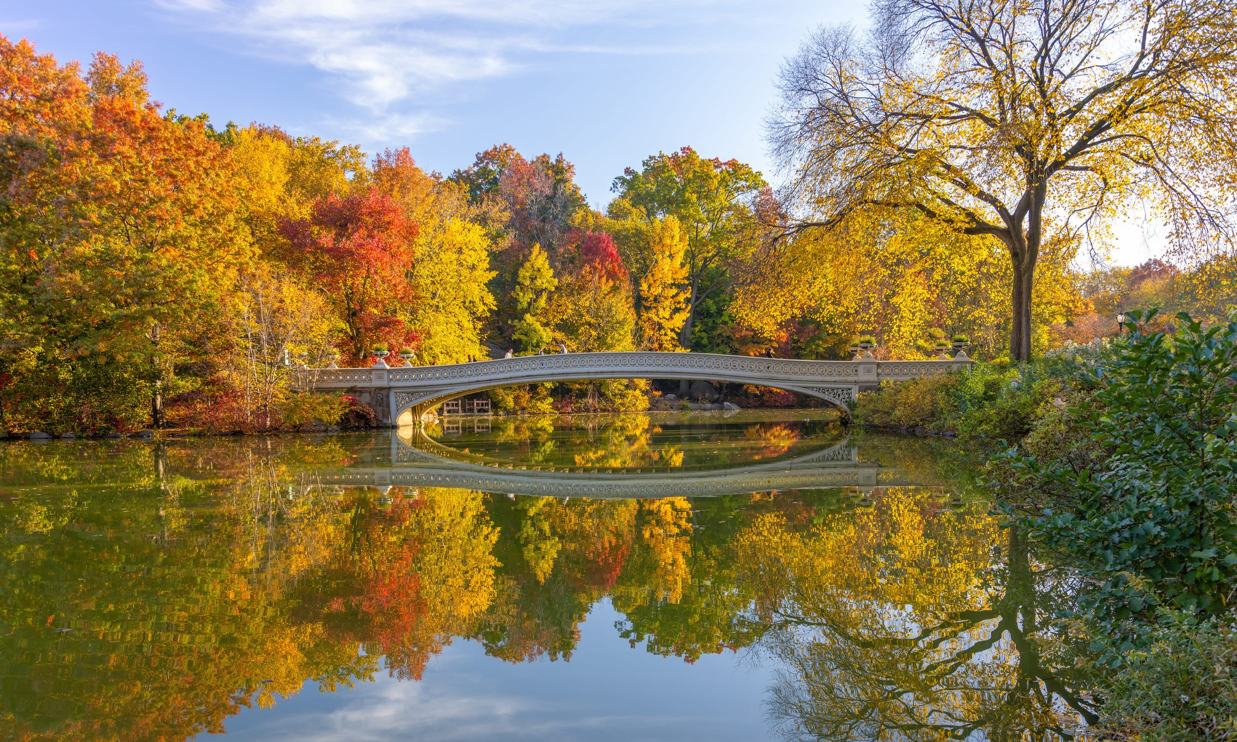 Central Park