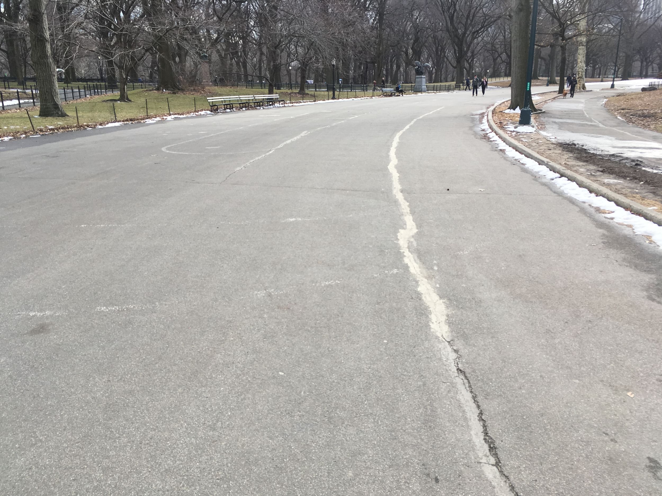 Image of a roadway in Central Park