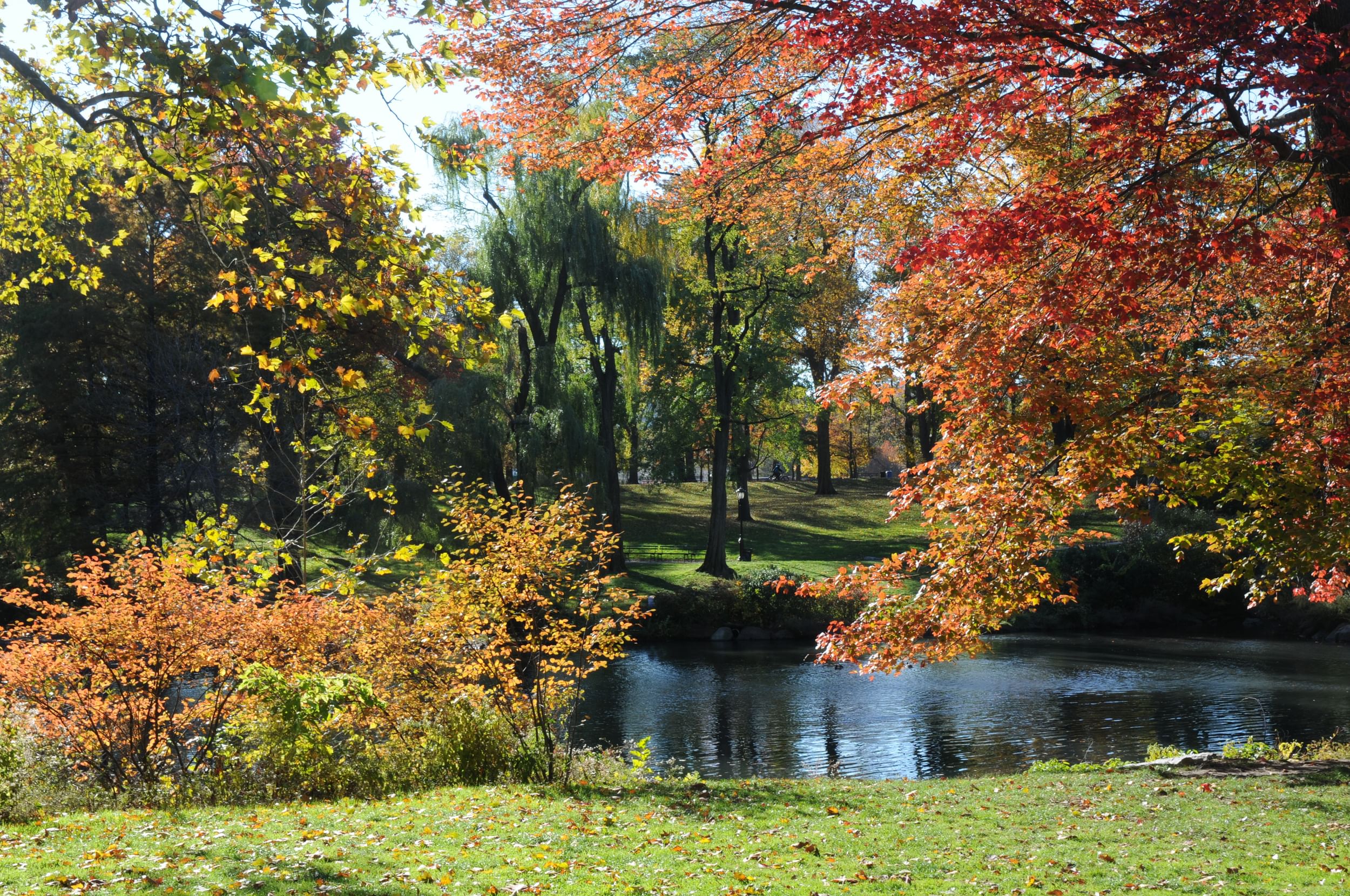 Fall Foliage Photo Walk
