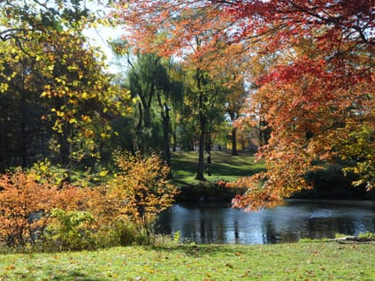 Fall Foliage Photo Walk