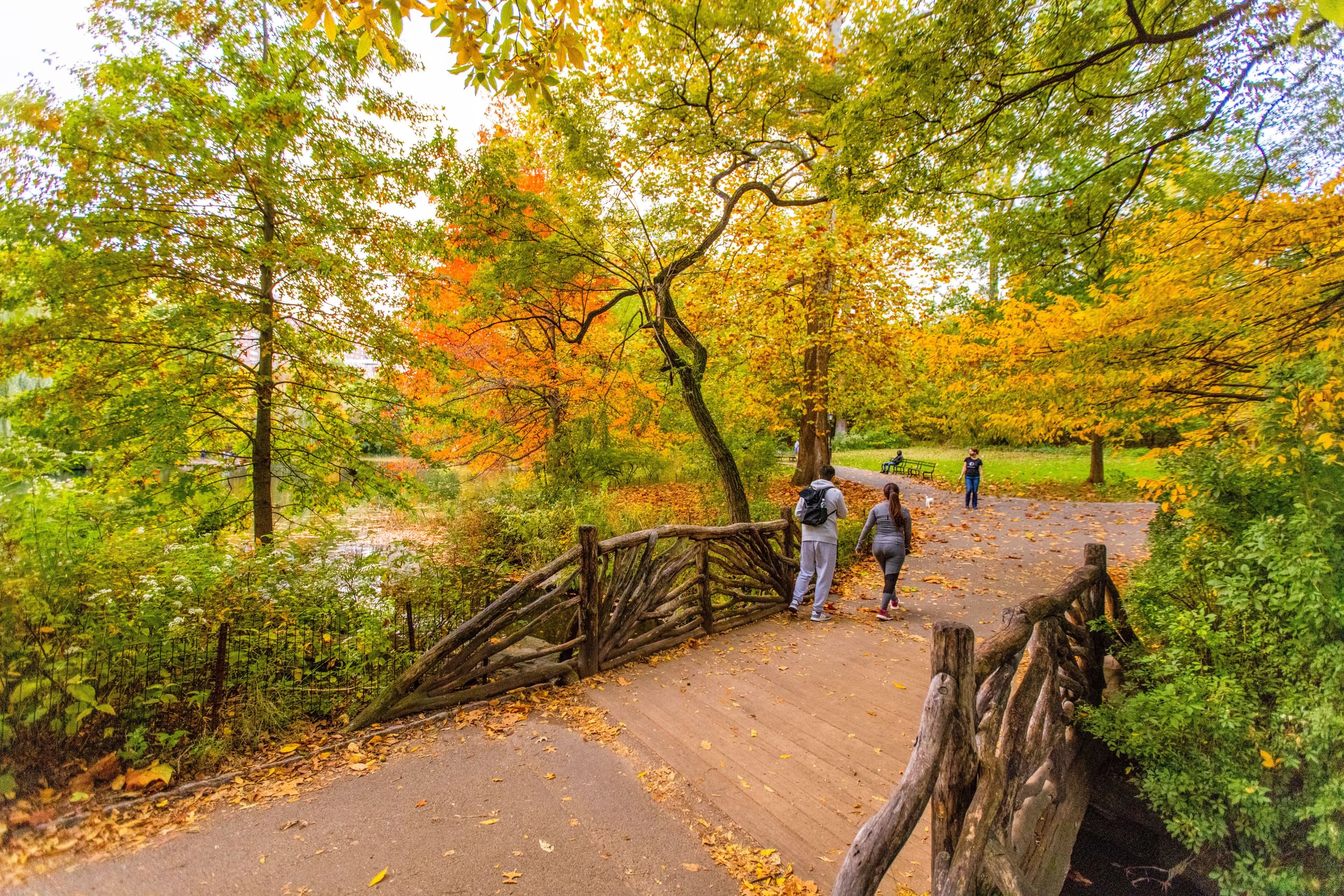 Two people walk across a wooden bridge in a park, surrounded by orange, yellow, and green foliage.