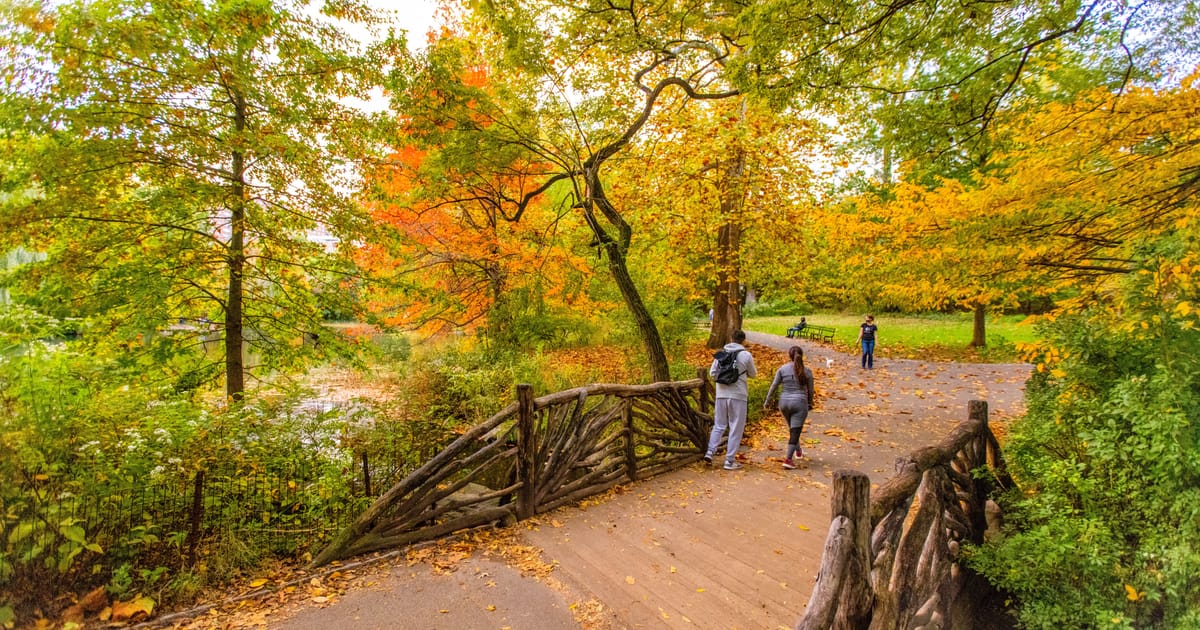 Central Park Fall Foliage Tracker: A Live Map of the Park's Changing Leaves