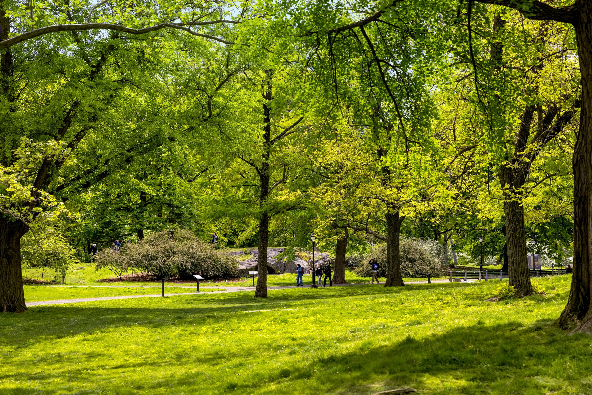 The landscape where Seneca Village used to be, Central Park, New York City