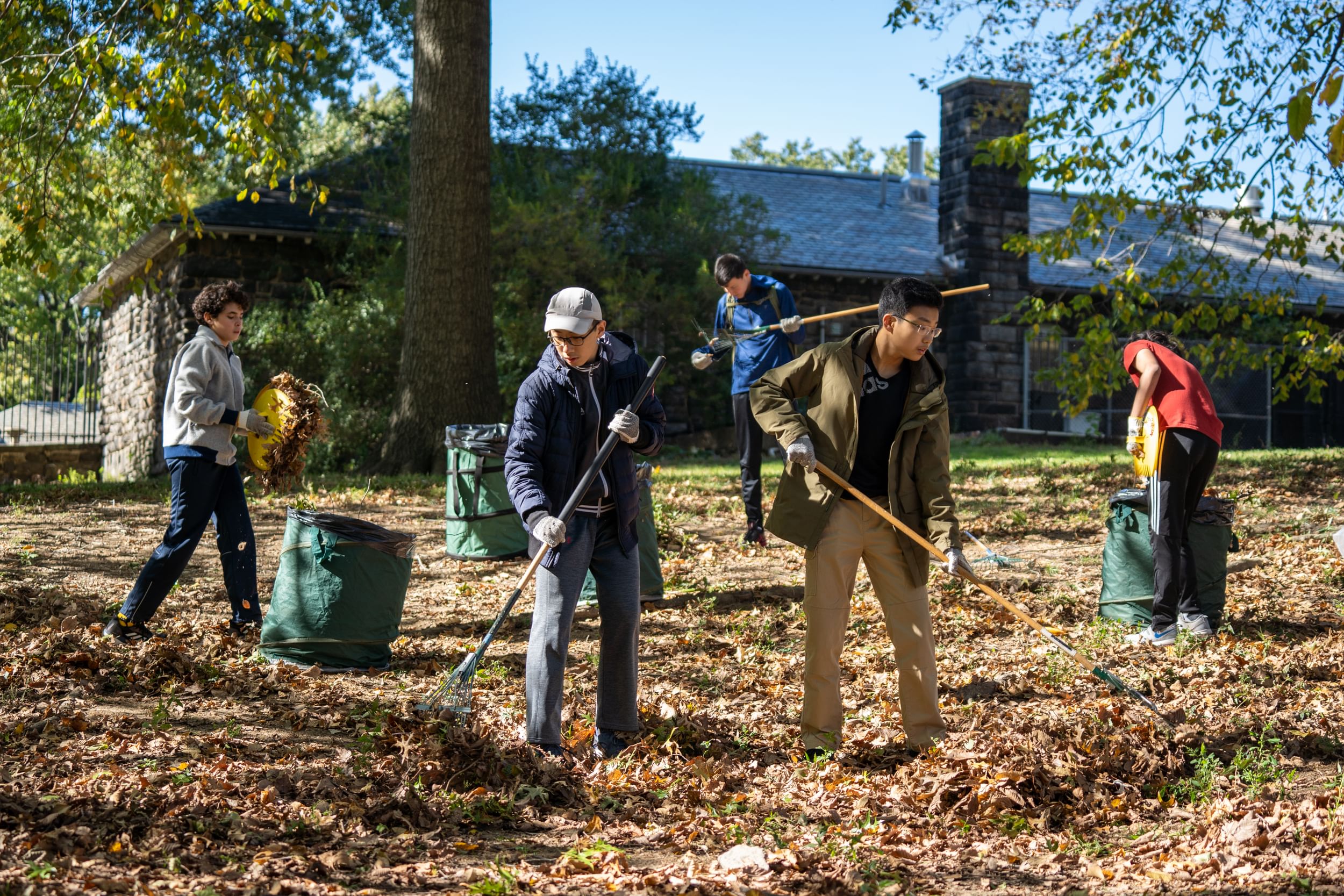 Teens with rakes volunteer on a leaf-strewn landscape in Central Park