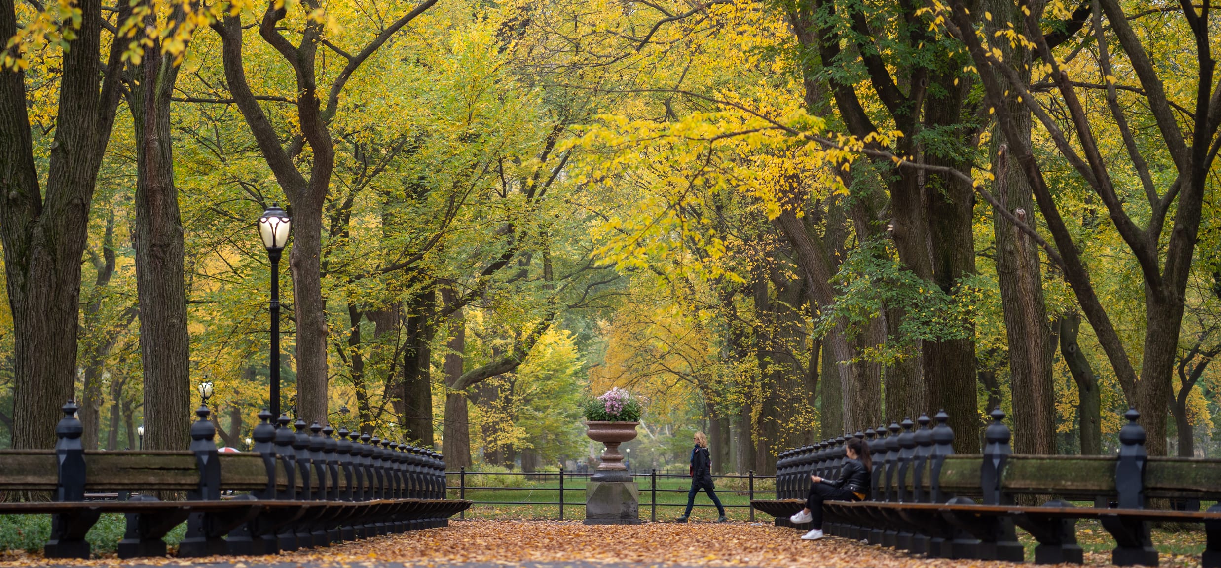 Central Park