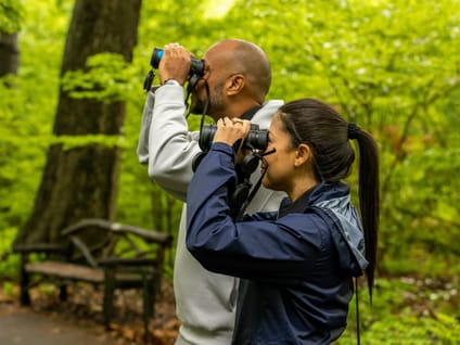 Birding Basics Tour