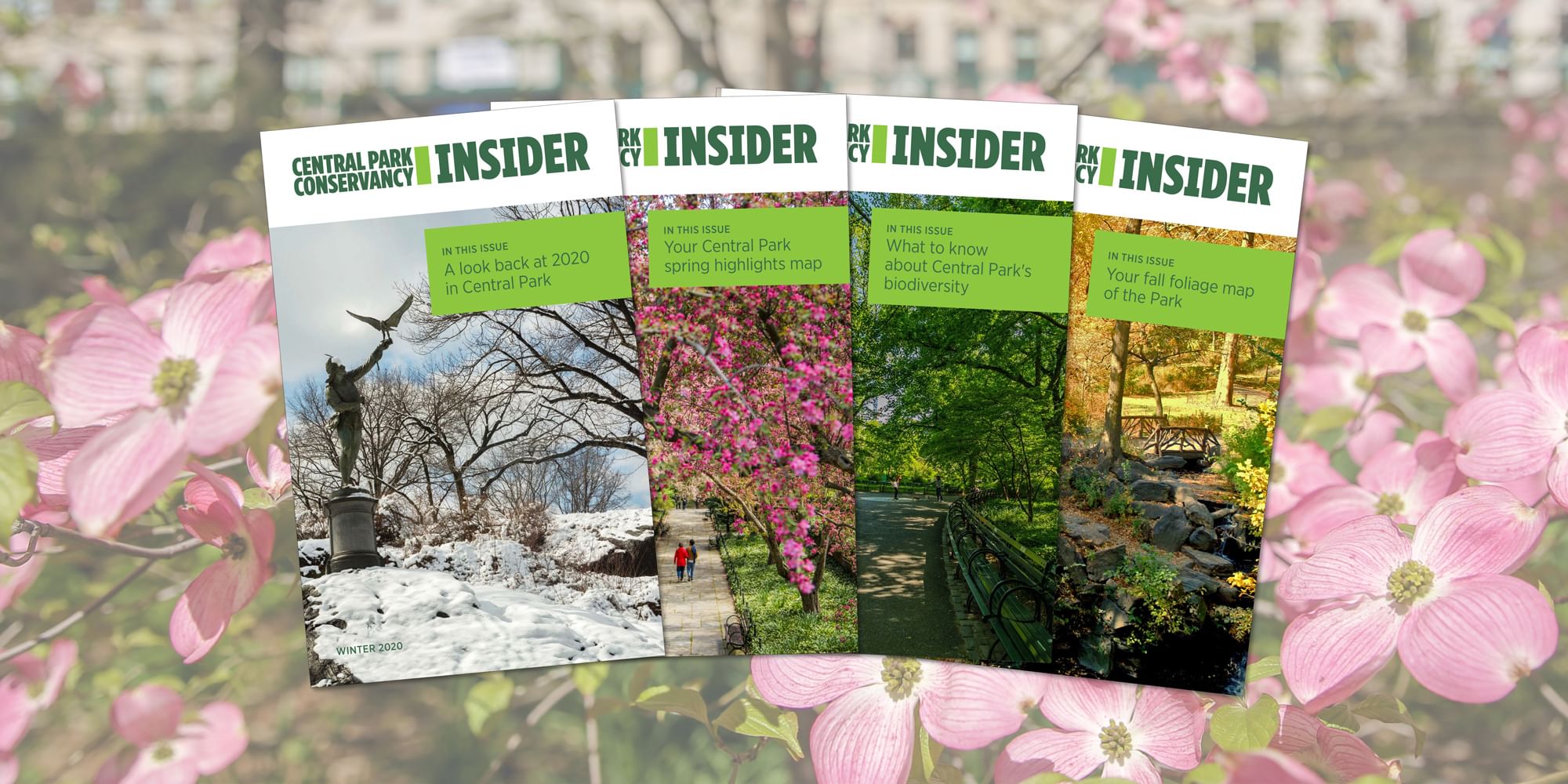 A display of past issues of the Insider, seen against a backdrop of pink flowers.