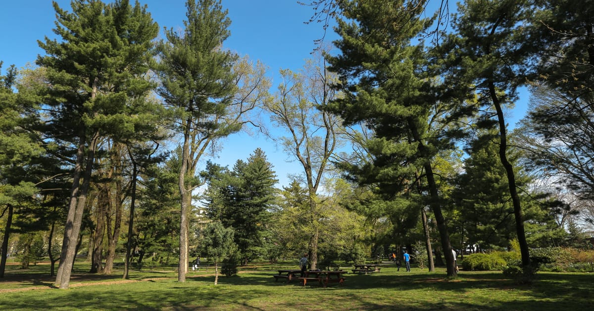 Arthur Ross Pinetum