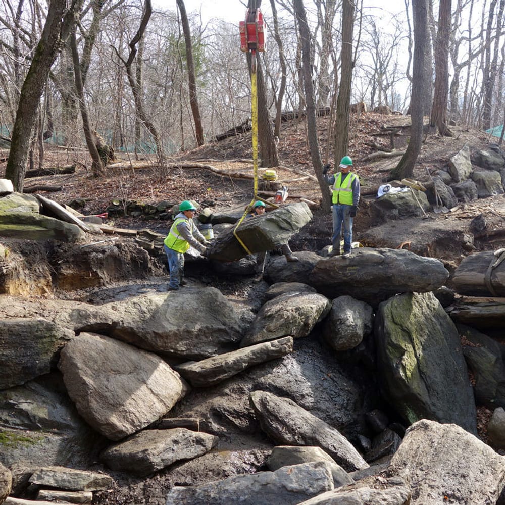 Ramble Rocks Restoration of the Ramble | Central Park Conservancy