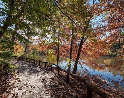 New York City - Central Park